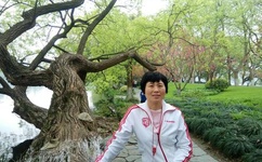 徐湘婷全套下载